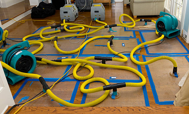 Professional Structural Drying And Dehumidification technician working in Russell, IL